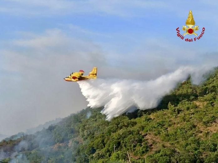 Basso Molise: diversi gli incendi divampati in aree rurali e boschive