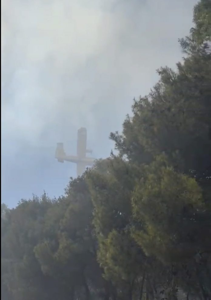Nuovo incendio in territorio di Chieuti, disagi alla circolazione ferroviaria adriatica