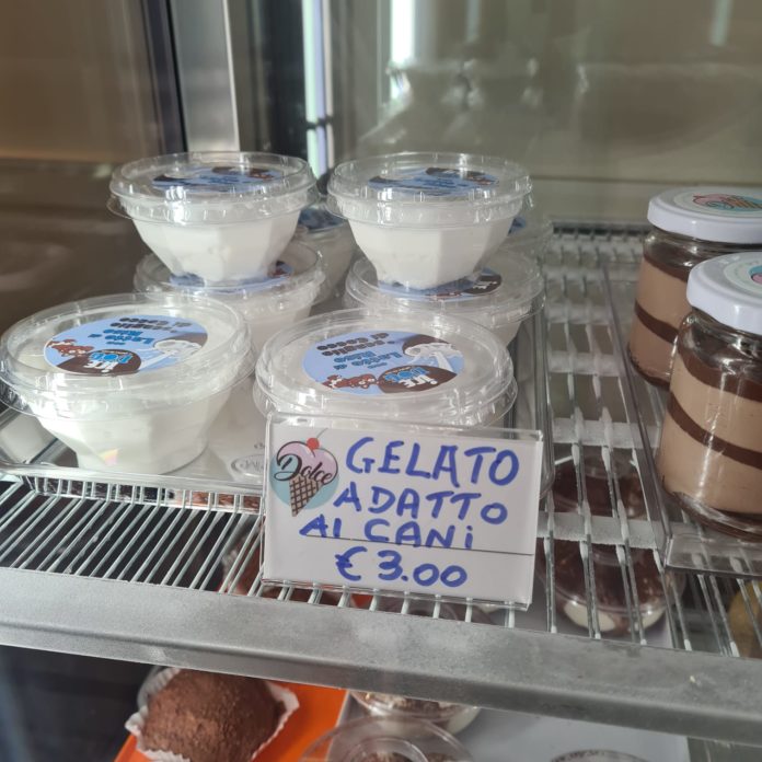 Isernia: in gelateria arriva l’Ice Dog, il gelato per cani ice dog isernia