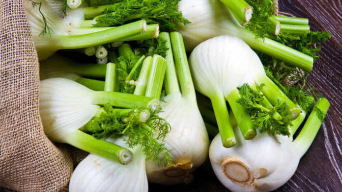 Poche calorie, tanti benefici: il finocchio alleato della linea e della salute