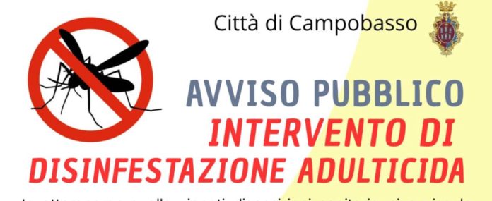 Nelle notti tra l’11 e il 12 agosto sisinfestazione adulticida in diverse zone di Campobasso