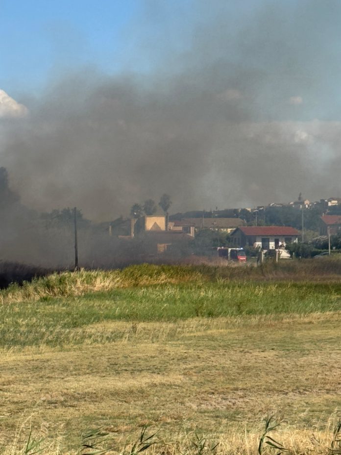 Termoli: incendio in zona Rio Vivo. Sul posto i Vigili del fuoco
