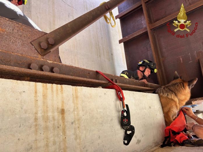 Pescolanciano: cane caduto in un’intercapedine di un ponte in costruzione salvato dai Vigili del Fuoco