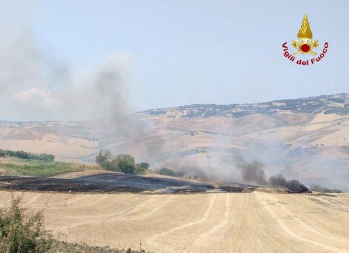 Incendio nelle campagne di Palata, danni in azienda agricola