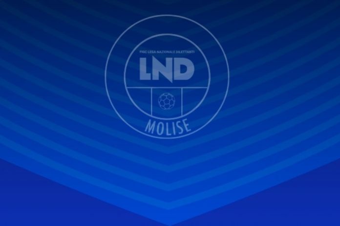 Calcio regionale, ecco i tornei di Eccellenza e Promozione. Nessuna rinuncia, ottimo risultato per il comitato della Lnd Molise