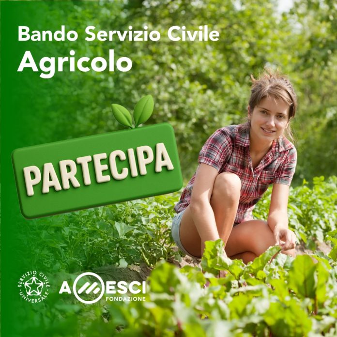 Servizio Civile Agricolo: aperta la call per 4 volontari in Molise con il progetto “Preserviamo i boschi”