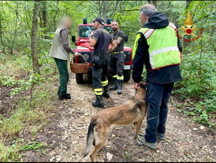 Monte Vairano, va in cerca di funghi con un amico e si perde: uomo ritrovato in buone condizioni dai Vigili del Fuoco