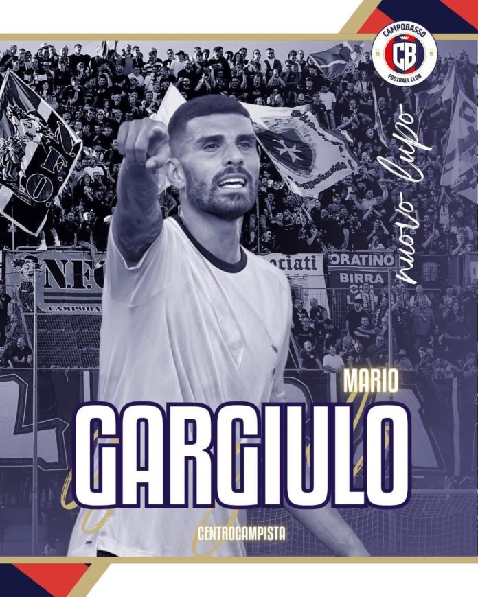 Calcio, Serie C, Campobasso: Armini e Gargiulo rinforzano la rosa. Zauri chiude l’organico con due pedine di primissimo piano