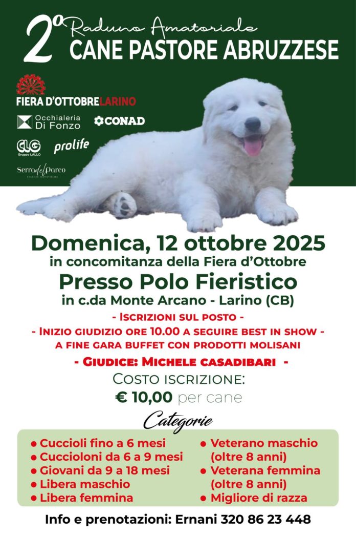 Larino: torna il Raduno del Cane Pastore Abruzzese