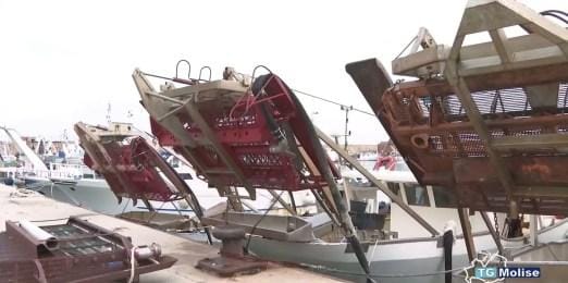 Via libera dell’UE per la pesca di vongole di 22mm, Fedagripesca Molise: “Tutelati i diritti dei pescatori”