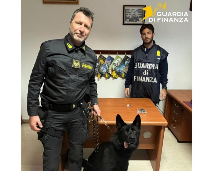Termoli, intensificati i controlli antidroga: la Guardia di Finanza sequestra hashish alla stazione ferroviaria