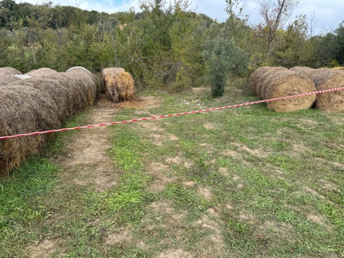 Paupisi, parla Mario Ocone: mio padre mi ha chiesto di andare in carcere