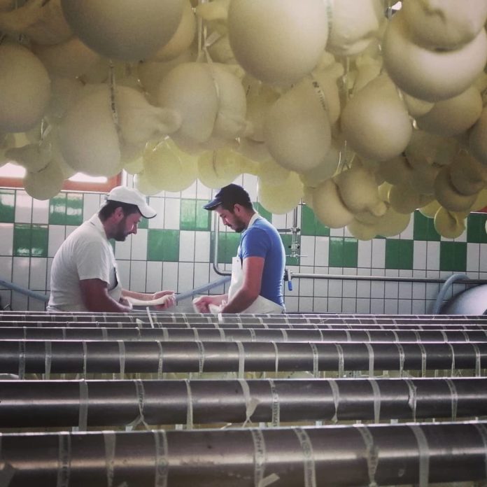 Carovilli, il caciocavallo del caseificio “Il Pastore Serafino” punta all’oro