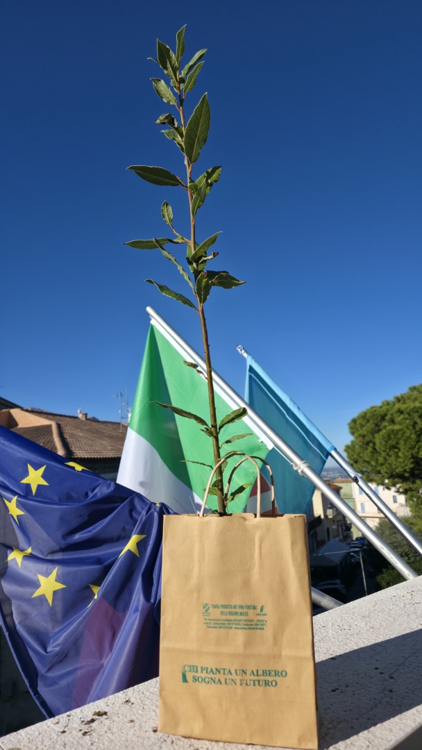Montenero di Bisaccia, torna “Un albero per ogni nato”