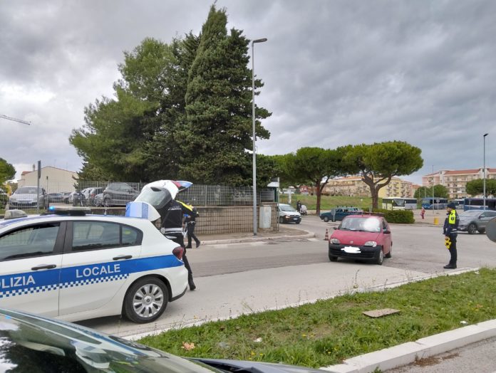 Termoli: donna investita, trasportata all’ospedale San Timoteo