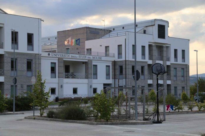 UniMol e ITS D.E.Mo.S. Academy: 2 titoli, 3 anni, un solo percorso