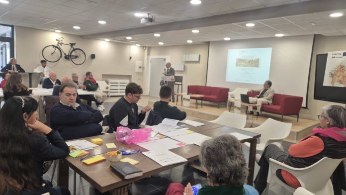 Basso Molise guida la filiera dell’olio extravergine del Sud Adriatico