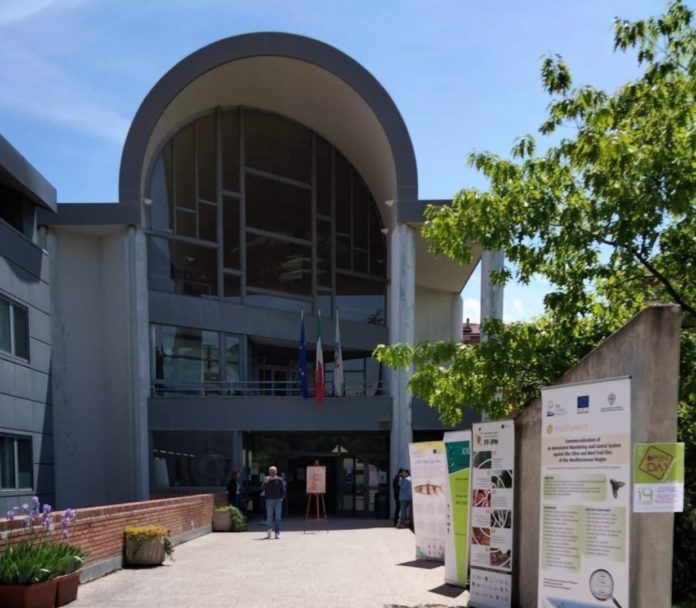 Allerta meteo, Università del Molise sospende attività didattiche