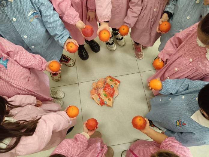 Termoli: all’Istituto Bernacchia, una giornata dedicata alla ricerca