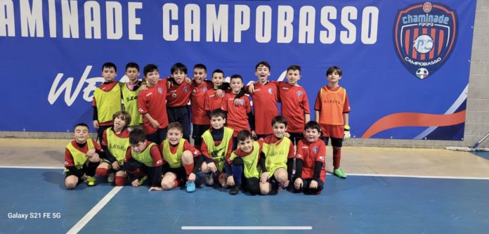 Settore giovanile, Chaminade si rafforza il progetto a Cercemaggiore