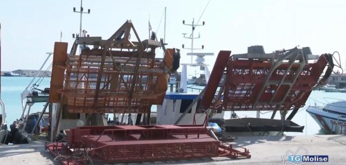 Sostenibilità e futuro: a Termoli stop alle vongole fino a metà febbraio