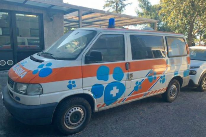 Raccolta fondi della Guardie Ambientali d’Italia per ambulanza veterinaria