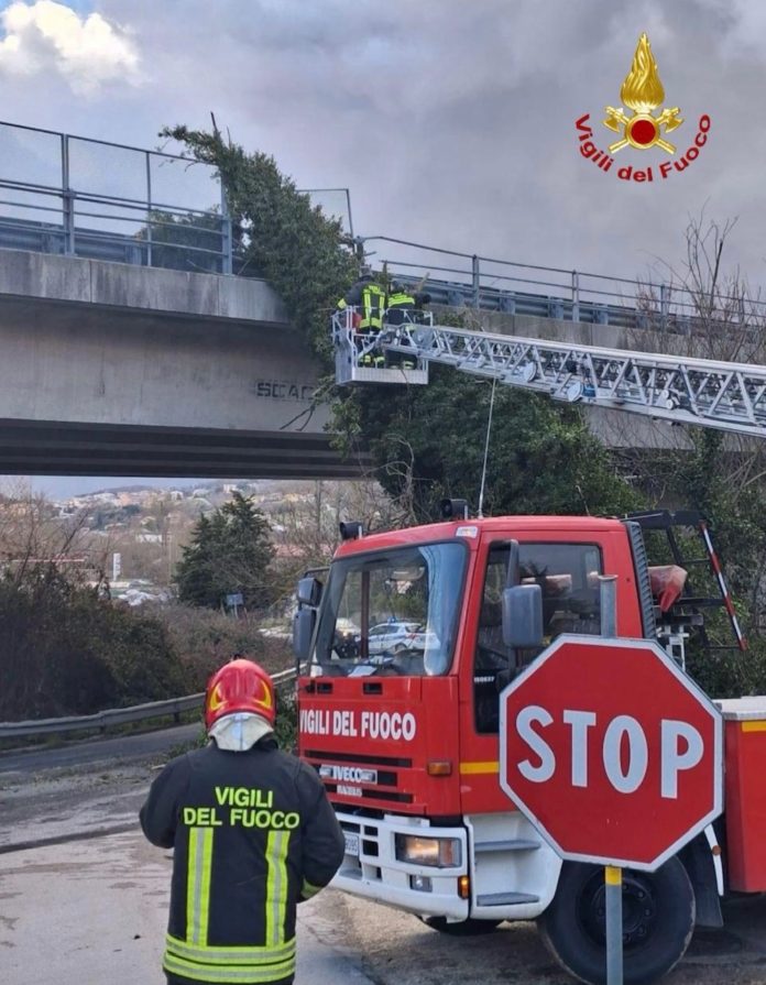 Forte vento causa danni e disagi, molti interventi dei Vigili del fuoco