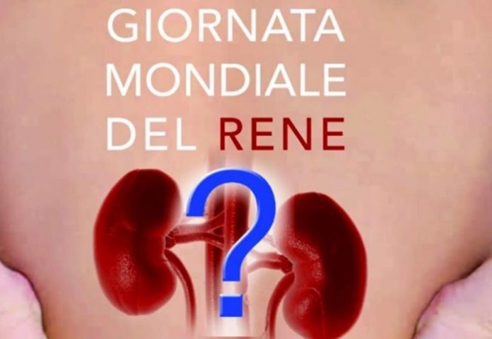 Giornata Mondiale del Rene: il Molise in prima linea per la prevenzione