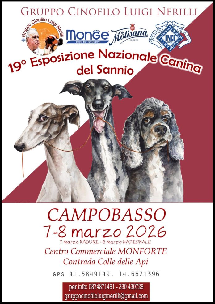 Mille, record di iscrizioni per la 19° Esposizione nazionale canina del Sannio