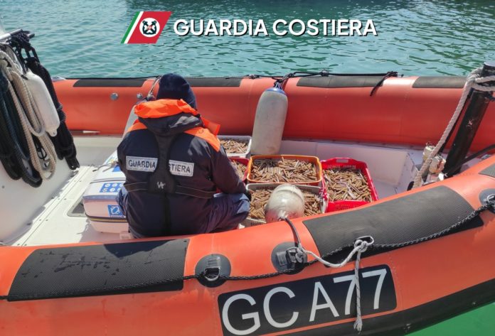 Termoli:la Guardia Costiera sequestra attrezzi da pesca e prodotti ittici