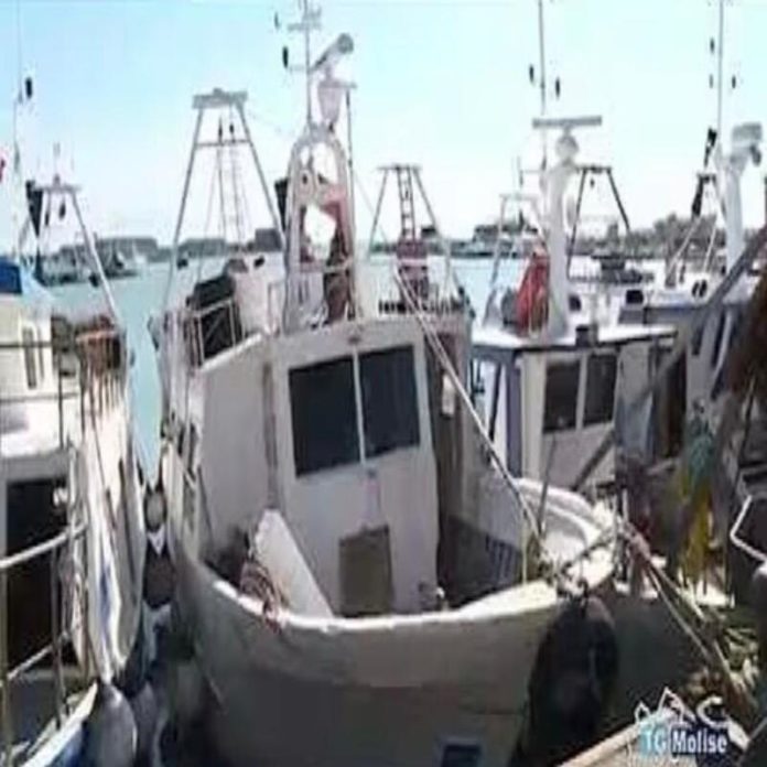 Stato di agitazione della marineria di Termoli