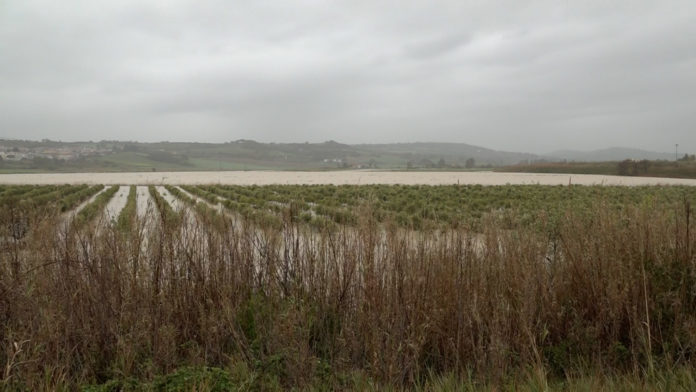 Alluvione in Molise, agricoltura tra i settori più colpiti