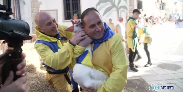 Campomarino, palio delle oche: trionfa la contrada “Paese Vecchio”