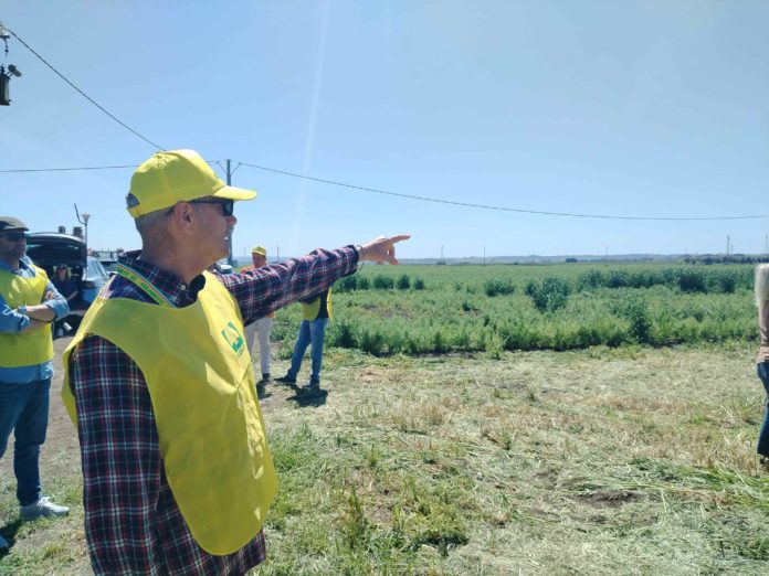 Agrivoltaico, Coldiretti contro il mega impianto previsto in Basso Molise
