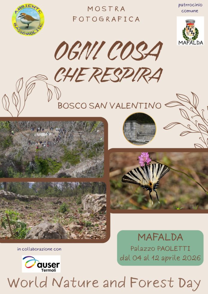 Mafalda, mostra fotografica “Ogni cosa che respira” fino al 12 aprile