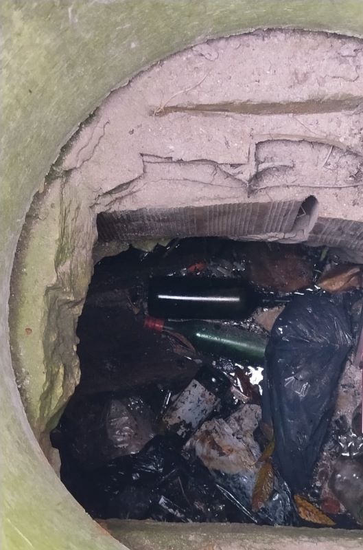 Baranello, trovati morti tre cuccioli in un pozzo. Indagini dei Carabinieri