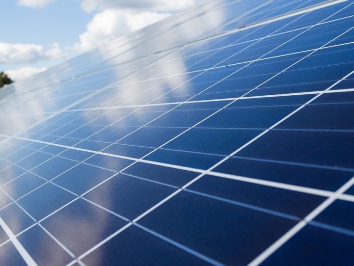 Fotovoltaico, presidio di Coldiretti contro un mega impianto