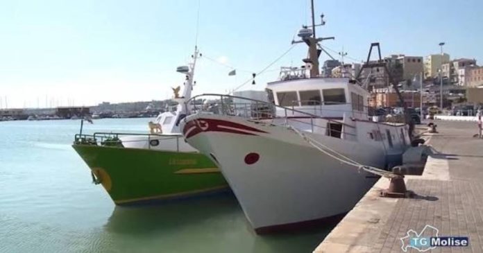 Fermo biologico Adriatico 16 agosto – 29 settembre: Termoli in agitazione