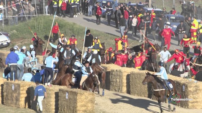 Sequestro preventivo di buoi della Carrese di San Martino, indagini in corso