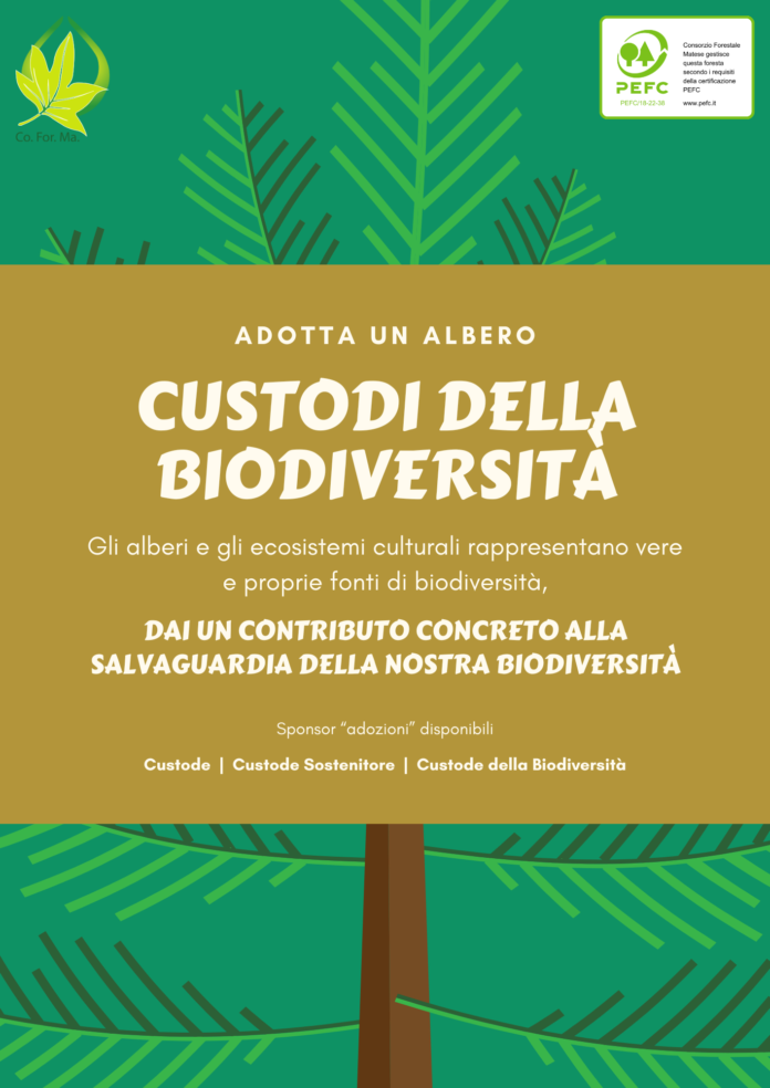 Custodi della Biodiversità: Consorzio Forestale Matese lancia un progetto