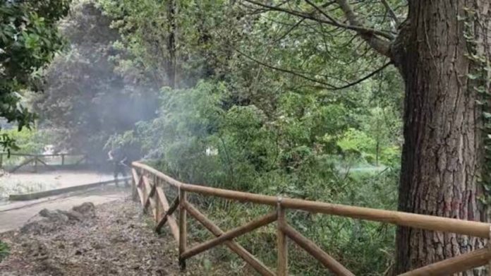 Termoli: appiccarono un rogo nel parco comunale, tre minorenni denunciati