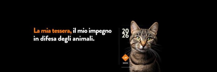 Rapporto zoomafia 2026: “In Molise meno procedimenti penali, ma più indagati”