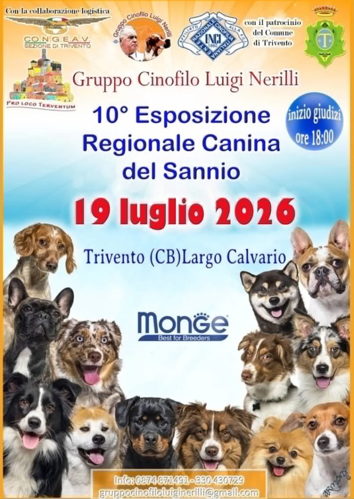 Trivento, domenica la decima esposizione regionale canina del Sannio