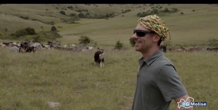 MoliseCinema, Elio Germano a Casacalenda presenta “Ritorno al tratturo”