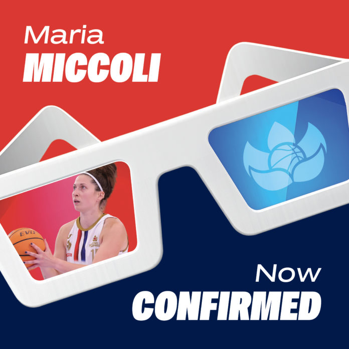 Basket, A1, la Molisana Magnolia, altra conferma, Miccoli resta in rossoblù