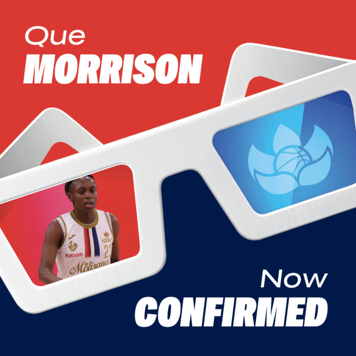 Basket, A1, la Molisana Magnolia, Que Morrison ancora protagonista rossoblù