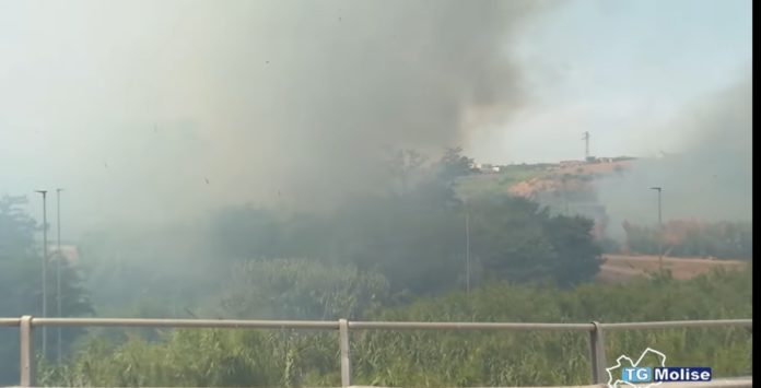 Incendio Campomarino: evacuata casa di riposo S. Gerardo