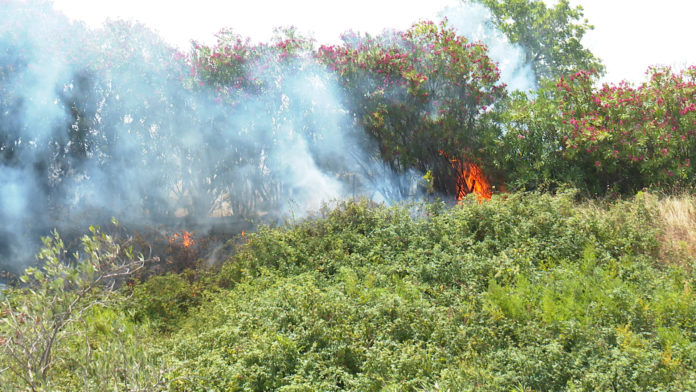 Incendio di vaste dimensioni in territorio di Campomarino, torna la paura