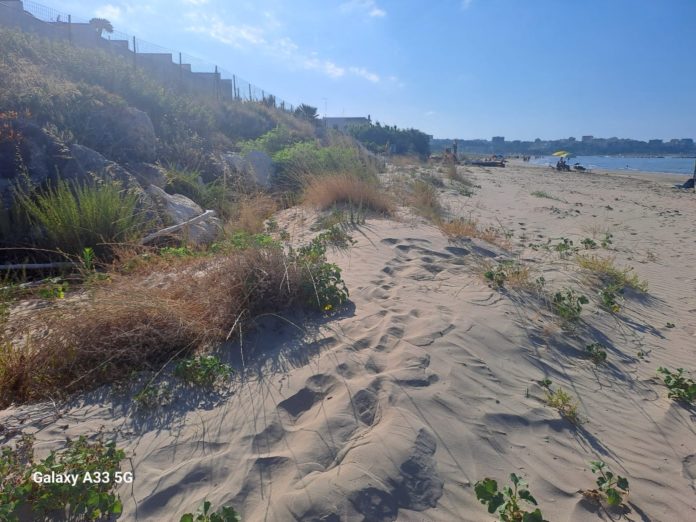Termoli: il Comitato Rio Vivo esprime contrarietà alla ciclovia