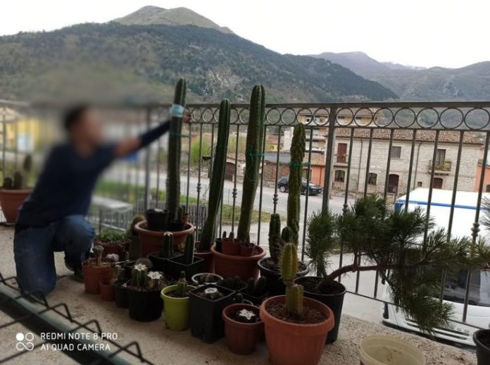 Bojano, trovato morto in casa un giovane di 33 anni